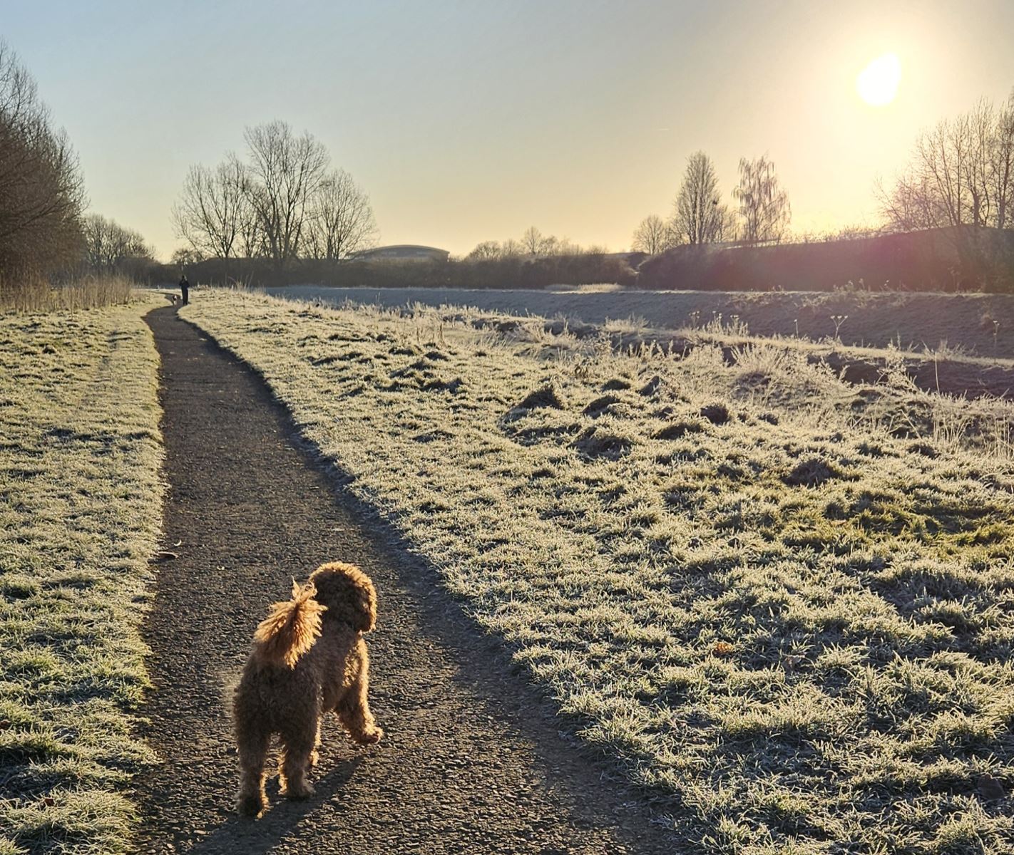 Exeter riverside walk in winter