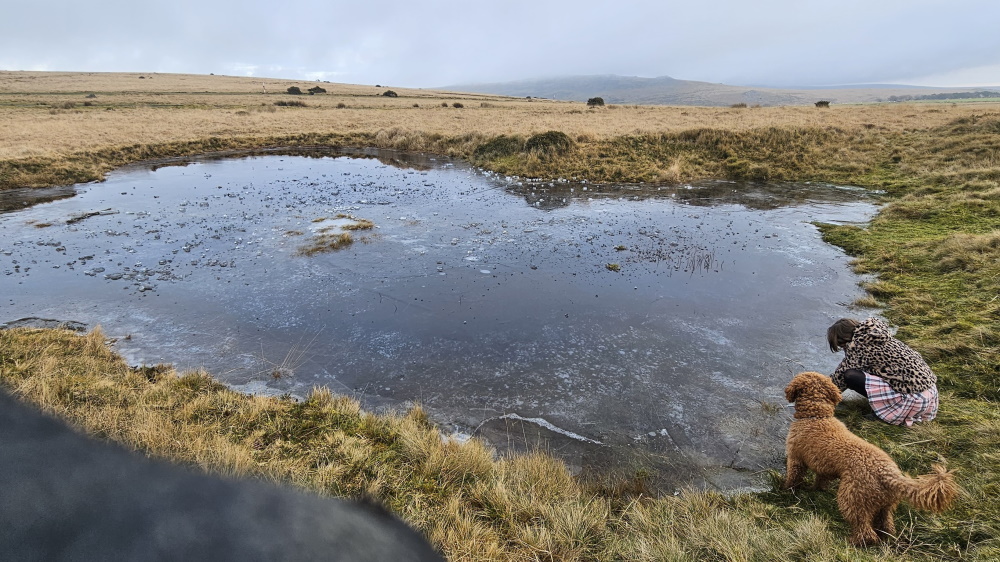 Dartmoor National Park